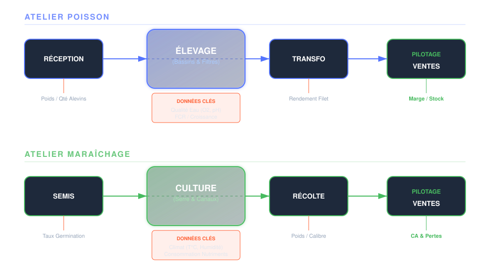 Modélisation Processus